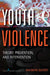 Youth Violence: Theory, Prevention, and Intervention by Kathryn Seifert