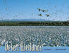 Desert Wetlands by Thomas Lowe Fleischner