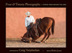 Four & Twenty Photographs: Stories from Behind the Lens by Craig Varjabedian
