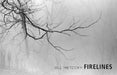 Firelines by Jill Metcoff