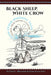 Black Sheep, White Crow and Other Windmill Tales: Stories from Navajo Country by Jim Kristofic