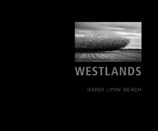 Westlands: A Water Story by Randi Lynn Beach