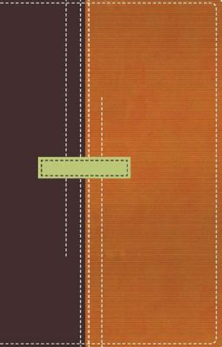 Thompson Chain Reference Bible-RV 1960-Personal Size by Charles Thompson, Rvr 1960- Reina Valera 1960, Vida