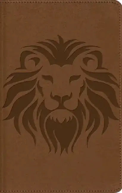 Nbla, Biblia Visual de Estudio Para Niños, Leathersoft, Café: Explora La Biblia: Personajes, Lugares E Historia by Nbla-Nueva Biblia de Las Américas