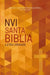 Nvi, Santa Biblia Edición Económica, Letra Grande, Texto Revisado 2022, Tapa Rústica by Nueva Versión Internacional