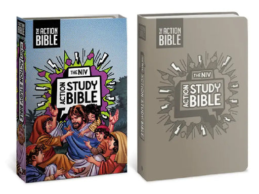 The NIV Action Study Bible, Leathersoft, Gray, Full Color by David C Cook