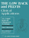The Low Back and Pelvis: Clinical Applications: Clinical Applications by Chris Hutcheson, Joseph Howe