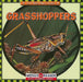 Grasshoppers by Susan Ashley