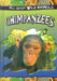 Chimpanzees by Gareth Editorial Staff