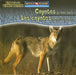 Coyotes Are Night Animals / Los Coyotes Son Animales Nocturnos by Joanne Mattern