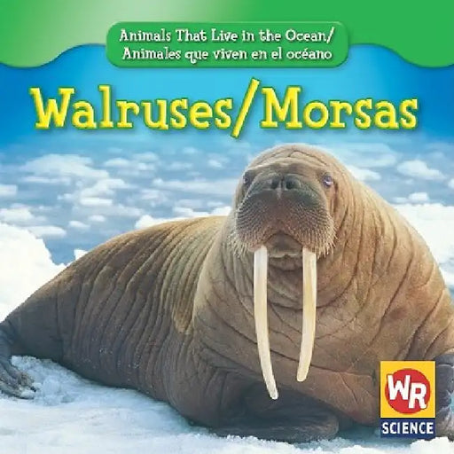 Walruses / Morsas by Valerie J. Weber