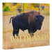 Conserving America's Wildlands: The Vision of Ted Turner by Rhett Turner, Todd Wilkinson, President Jimmy Carter