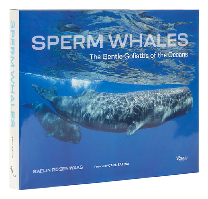 Sperm Whales: The Gentle Goliaths of the Ocean by Gaelin Rosenwaks, Carl Safina