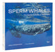 Sperm Whales: The Gentle Goliaths of the Ocean by Gaelin Rosenwaks, Carl Safina