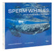 Sperm Whales: The Gentle Goliaths of the Ocean by Gaelin Rosenwaks