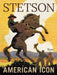 Stetson: American Icon by Laird Borrelli-Persson