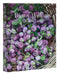 Bunny Williams: Life in the Garden by Bunny Williams