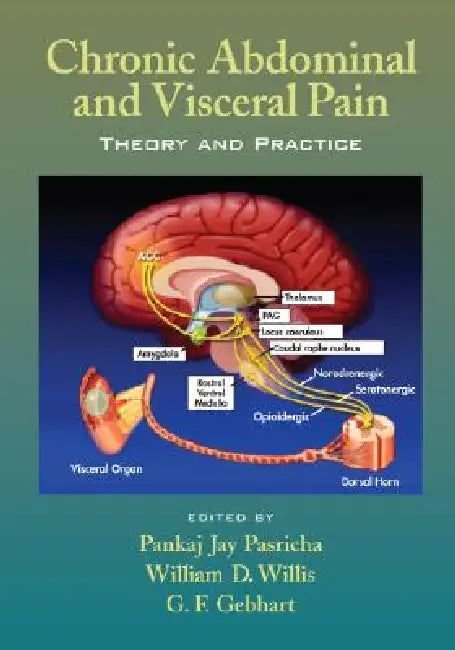 Chronic Abdominal and Visceral Pain: Theory and Practice by Pankaj Jay Pasricha