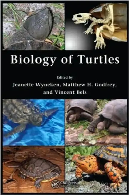 Biology of Turtles: From Structures to Strategies of Life by Jeanette Wyneken, Matthew H. Godfrey, Vincent Bels