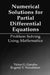 Numerical Solutions for Partial Differential Equations: Problem Solving Using Mathematica by Victor Grigor'e Ganzha, Evgenii Vasilev Vorozhtsov