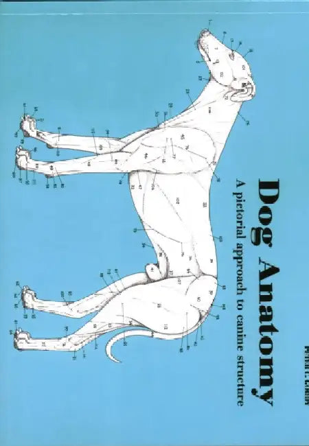 Dog Anatomy: A Pictorial Approach to Canine Structure by Peter Goody