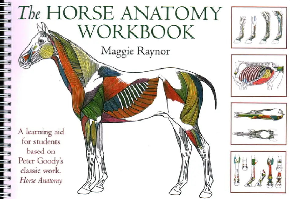 The Horse Anatomy Workbook: A Learning Aid for Students Based on Peter Goody's Classic Work, Horse Anatomy by Maggie Raynor