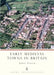 Early Medieval Towns in Britain by Jeremy Haslam