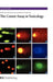 The Comet Assay In Toxicology by Alok Dhawan, Diana Anderson