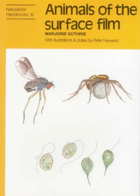 Animals of the Surface Film by Marjorie Guthrie, Peter J. Hayward