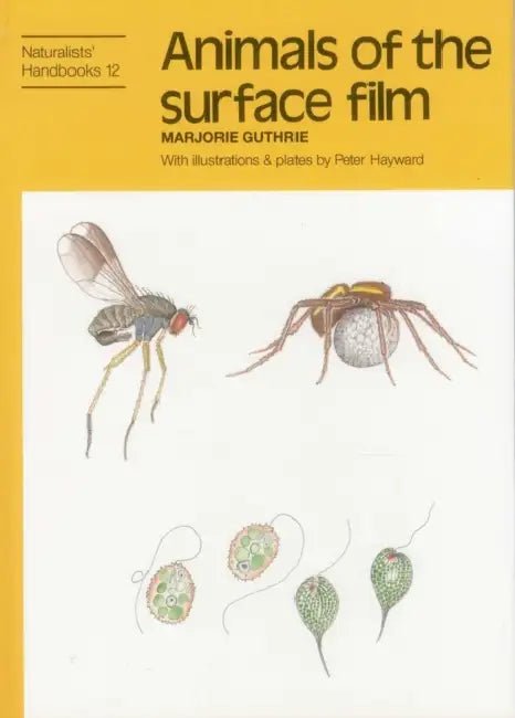 Animals of the Surface Film by Marjorie Guthrie, Peter J. Hayward