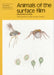 Animals of the Surface Film by Marjorie Guthrie, Peter J. Hayward