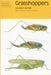 Grasshoppers by Valerie K. Brown, Judith G. Smith