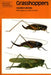 Grasshoppers by Valerie K. Brown, Judith G. Smith, Judith G. Smith