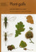 Plant Galls by Margaret Redfern, R. Askew, M. L. Askew