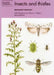 Insects and Thistles by Margaret Redfern, Anthony J. Hopkins