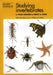 Studying Invertebrates by C. Philip/ Cook, Penny A./ Wright, Jo (CON) Wheater