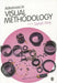 Advances in Visual Methodology by Sarah