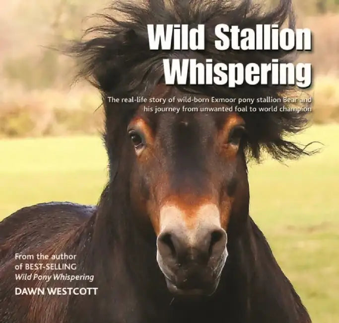 Wild Stallion Whispering by Dawn Westcott
