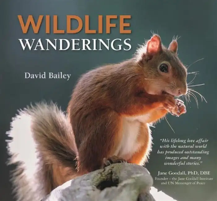 Wildlife Wanderings by David Bailey