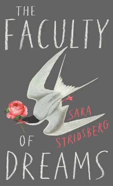 The Faculty of Dreams by Sara Stridsberg