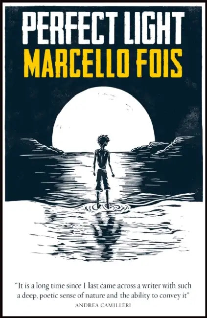 Perfect Light by Marcello Fois, Silvester Mazzarella