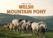Spirit of the Welsh Mountain Pony by Fleur Hallam