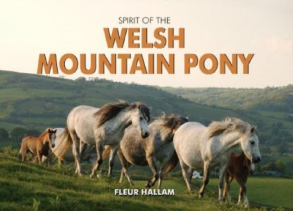 Spirit of the Welsh Mountain Pony by Fleur Hallam