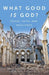 What Good Is God?: Disasters, Faith and Resilience by Robert White
