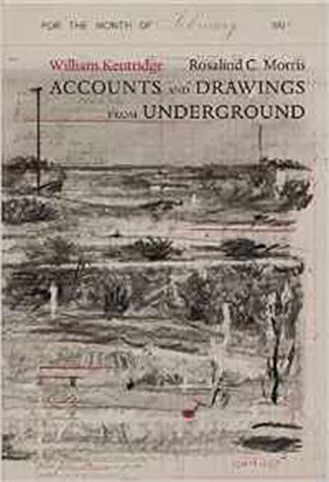 Accounts And Drawings From Underground: The East Rand Proprietary Mines Cash Book, 1906