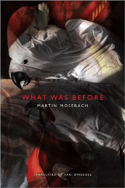 What Was Before by Martin Mosebach
