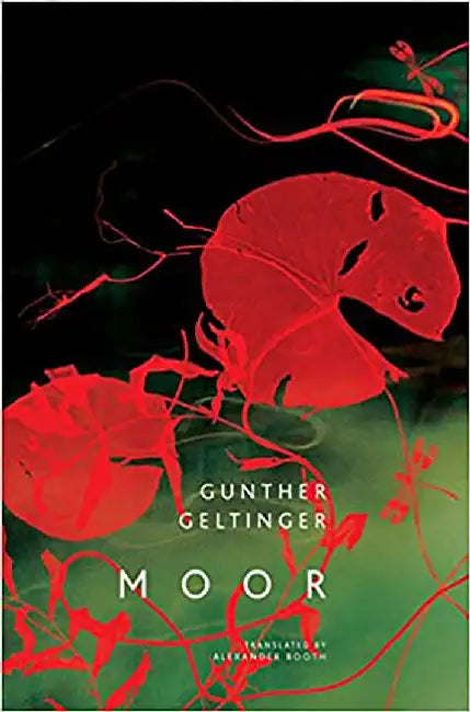 Moor by Gunther Geltinger