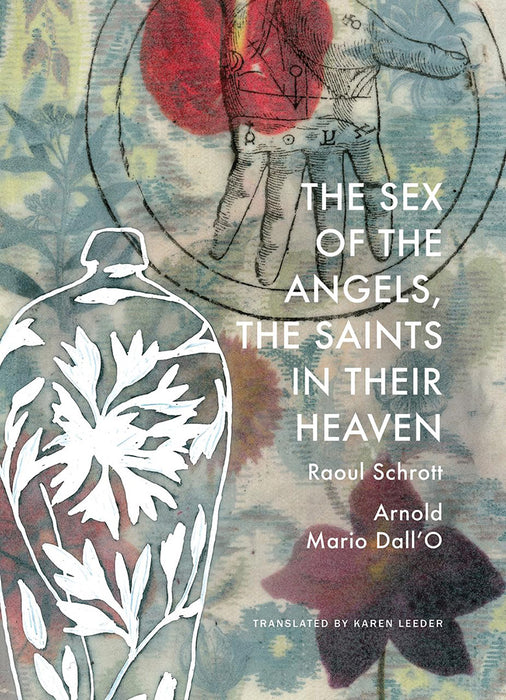 The Sex of the Angels the Saints in their Heaven by Raoul Schrott