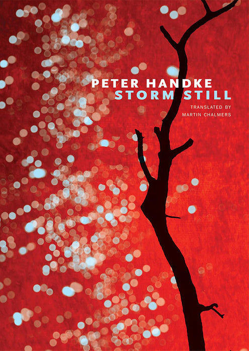 Storm Still by Peter Handke