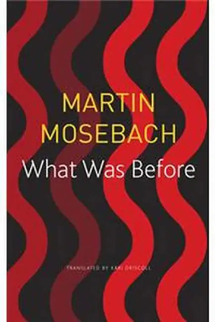 What Was Before (Seagull German Library) by Martin Mosebach